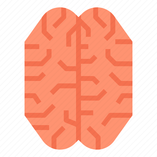 Anatomy, brain, mental, psychology icon - Download on Iconfinder