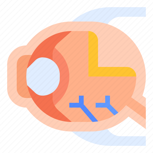 Anatomy, cornea, eyeball, ophthalmologist, optic icon - Download on Iconfinder