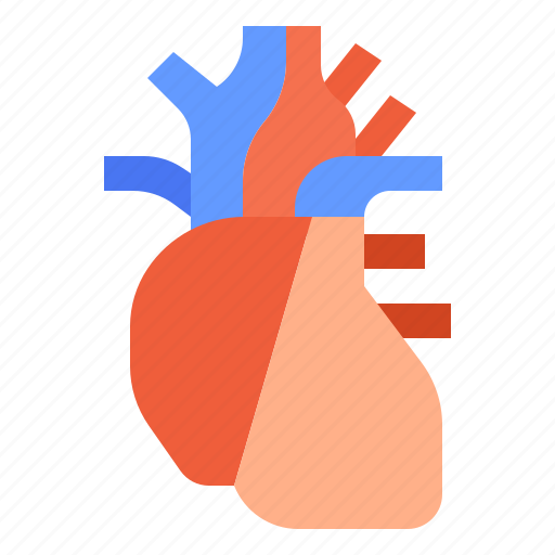 Aorta, blood, cardiac, heart, medical icon - Download on Iconfinder