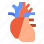 aorta, blood, cardiac, heart, medical 