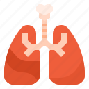 health, lung, medical, respiratory