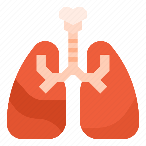 Health, lung, medical, respiratory icon - Download on Iconfinder