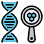 dna, laboratory, loupe, magnifier, medical 