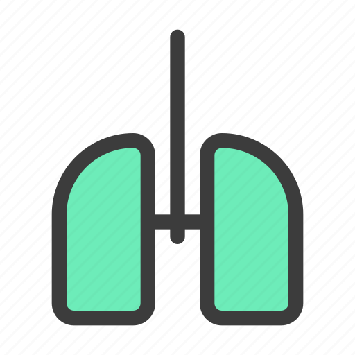 Health, healthcare, healthy, hospital, lung, medical icon - Download on Iconfinder
