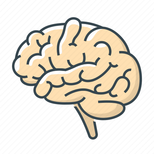 Brain, mind, organ icon - Download on Iconfinder