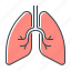 lungs, organ 
