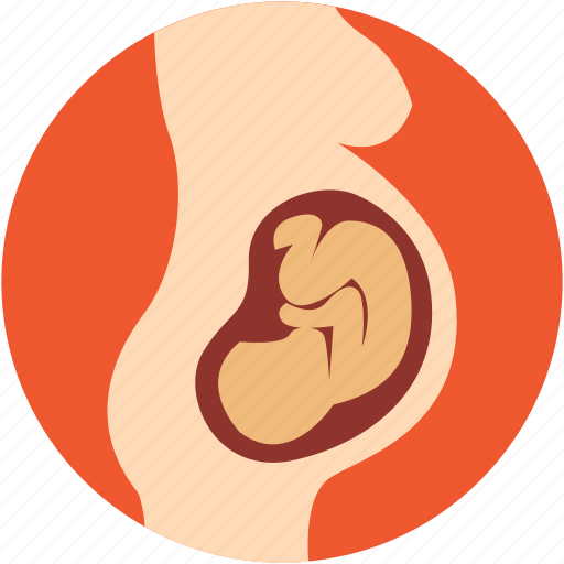 Baby womb, fetal development, human fetus, motherhood, pregnancy icon - Download on Iconfinder