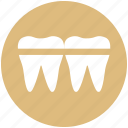 anatomy, braces, denture, retainer, teeth 
