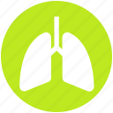 anatomy, breathe, lungs, medical, pulmonology, respiratory 