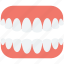 artificial teeth, dentures, human teeth, jaw, teeth 