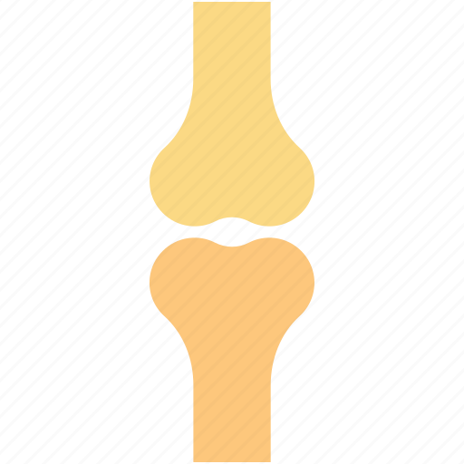 Bone joints, bones, knee, knee joint, skeleton icon - Download on Iconfinder