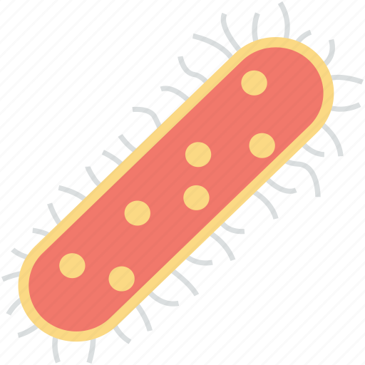 Bacteria, ebola, germs, microbe, virus icon - Download on Iconfinder