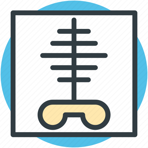 Body part, human ribs, radiology, radioscopy, ribs icon - Download on Iconfinder