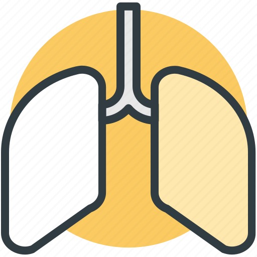 Anatomy, breathe, human lungs, lungs, pulmonology icon - Download on Iconfinder