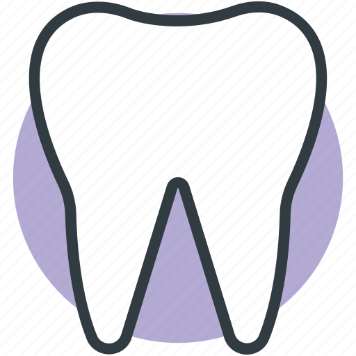 Healthy Teeth Human Tooth Molar Molar Teeth Tooth Icon