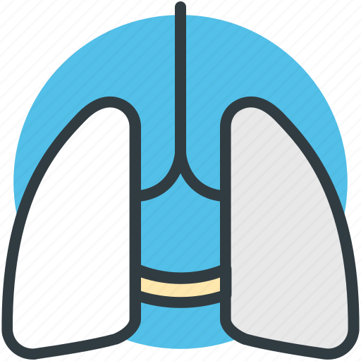 Anatomy, breathe, human lungs, lungs, pulmonology icon - Download on Iconfinder