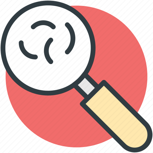 Germ, magnifier, magnifying glass, search bacteria, searching germs icon - Download on Iconfinder