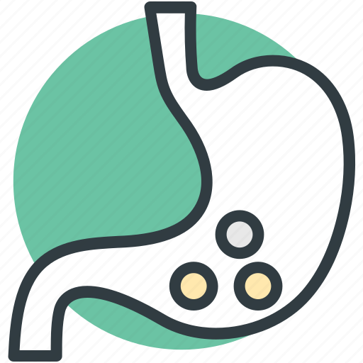 Anatomy, body part, human stomach, organ, stomach icon - Download on Iconfinder