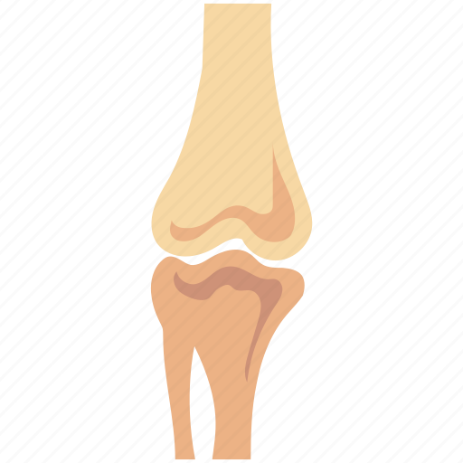 Articulation, bone joints, bones, human bones, joints, knee joint, osteoarthritis icon - Download on Iconfinder