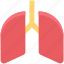 body part, breathe, human lungs, lungs, organ, pulmonary, pulmonology 