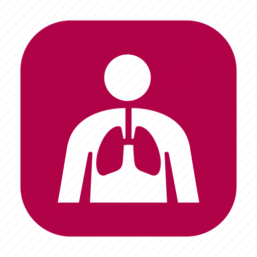 Anatomy, health, healthcare, human body, lungs, medical, medicine icon - Download on Iconfinder
