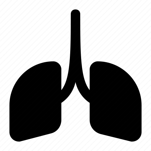 Anatomy, breathing, lungs, medical, organ, pulmonology icon - Download on Iconfinder