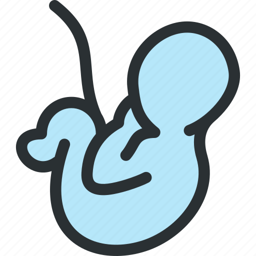 Baby, biology, embryo, fetus, health, medical, pregnancy icon - Download on Iconfinder