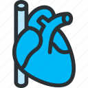 cardio, cardiology, cardiovascular, health, hearth, medical, pulse 