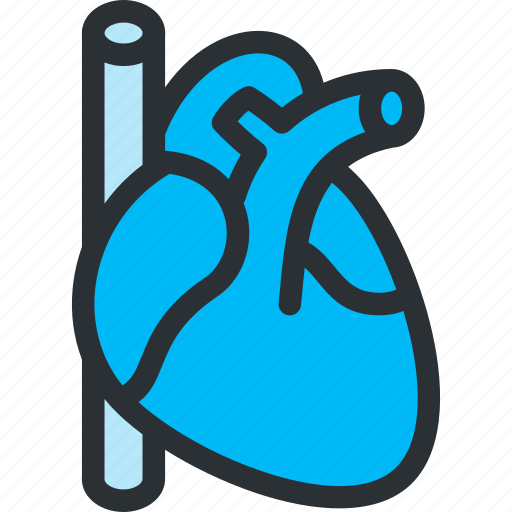 Cardio, cardiology, cardiovascular, health, hearth, medical, pulse icon - Download on Iconfinder