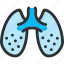 anatomy, breath, health, lungs, medical, ograns, pulmonology 