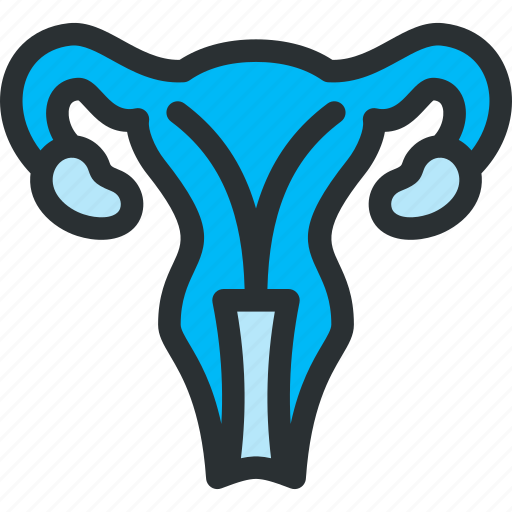 Genitals, gynecology, health, medical, ovaries, reproductive, uterus icon - Download on Iconfinder