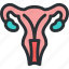 genitals, gynecology, health, medical, ovaries, reproductive, uterus 