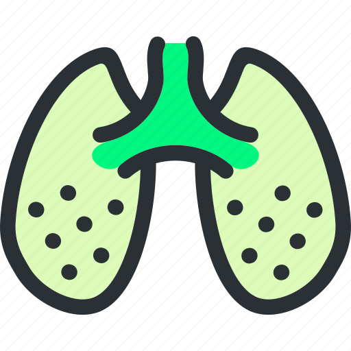 Anatomy, breath, health, lungs, medical, ograns, pulmonology icon - Download on Iconfinder