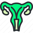 genitals, gynecology, health, medical, ovaries, reproductive, uterus