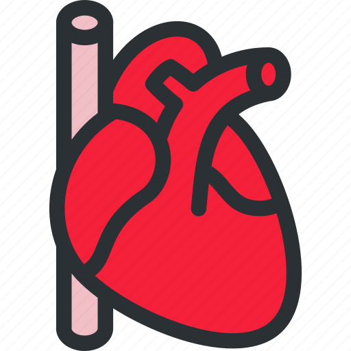 Cardio, cardiology, cardiovascular, health, hearth, medical, pulse icon - Download on Iconfinder