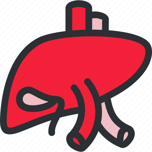 Anatomy, detoxification, health, hepatology, liver, medical, organ icon - Download on Iconfinder