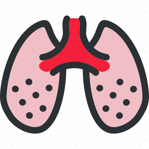 Anatomy, breath, health, lungs, medical, ograns, pulmonology icon - Download on Iconfinder