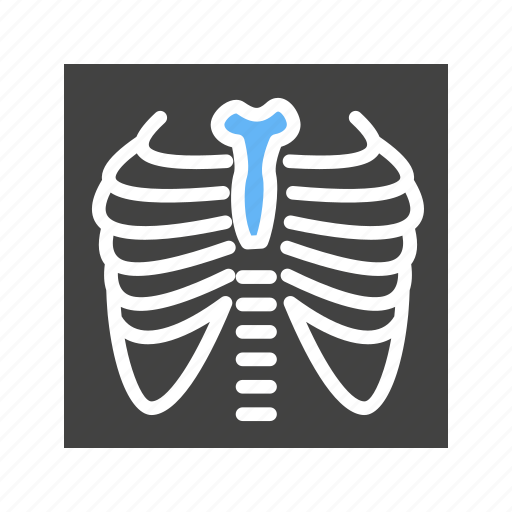 Bones, chest, image, lungs, medical examination, ribs, x ray icon - Download on Iconfinder