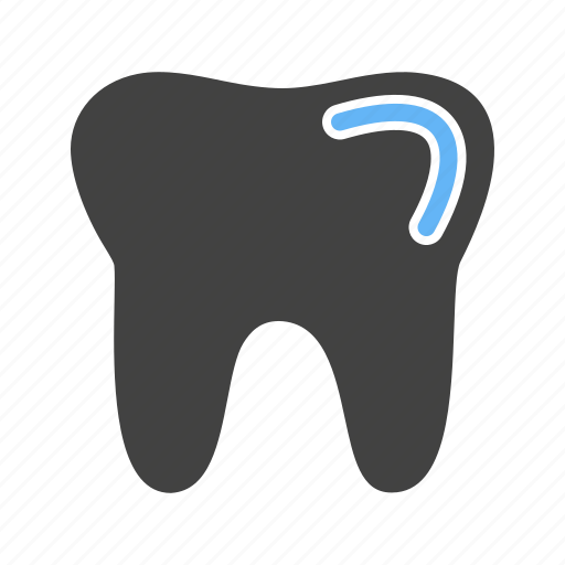 Anatomy, biology, dental, dentist, oral, teeth, tooth icon - Download on Iconfinder