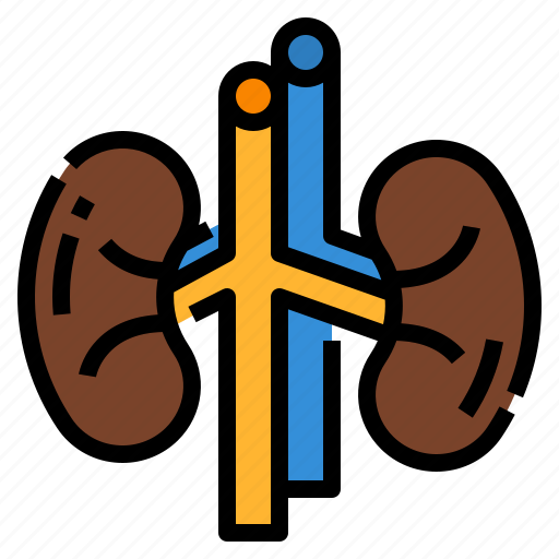 Creatinine, health, kidneys, medical, medicalcheckup icon - Download on Iconfinder