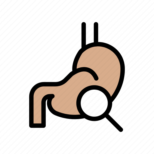 Digestion, healthcare, lab, medical, stomach icon - Download on Iconfinder