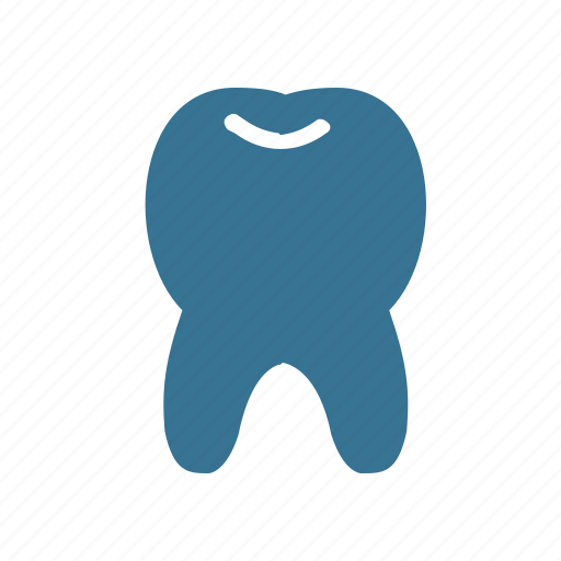 Dentist, elements, hospital, medical, pharmacy, tooth icon - Download on Iconfinder