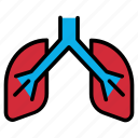 anatomy, doctor, human, lung, lungs, medical, organ
