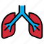 anatomy, doctor, human, lung, lungs, medical, organ 