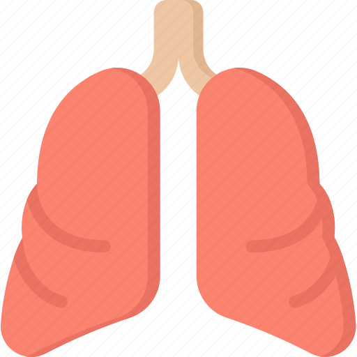 Health care, hospital, lungs, medical, organs icon - Download on Iconfinder
