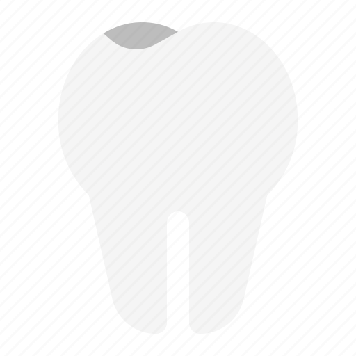 Dental, dentist, teeth, tooth, tusk icon - Download on Iconfinder