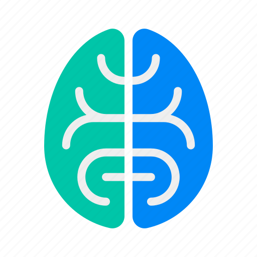 Brain, cerebellum, genius, intelligence, mind, nerve, organ icon - Download on Iconfinder