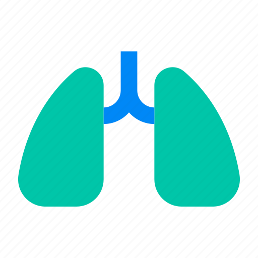 Anatomy, chest, lung, organ, pneumonia, pulmonology, respiratory icon - Download on Iconfinder