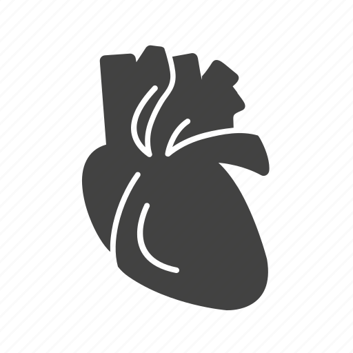 Artery, body, cardiology, heart, human, medical, organ icon - Download on Iconfinder
