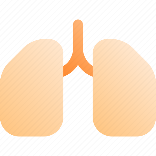Health, human, lung, medical, organ icon - Download on Iconfinder